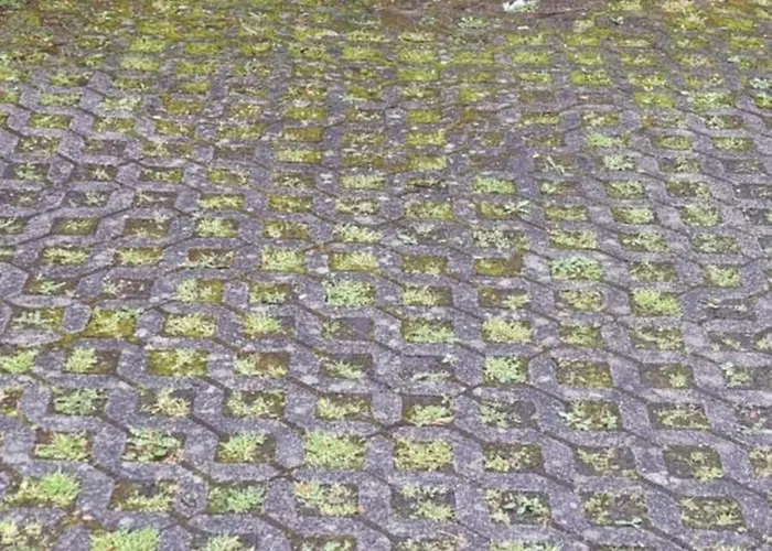 Lägenhet Am Kurwald In